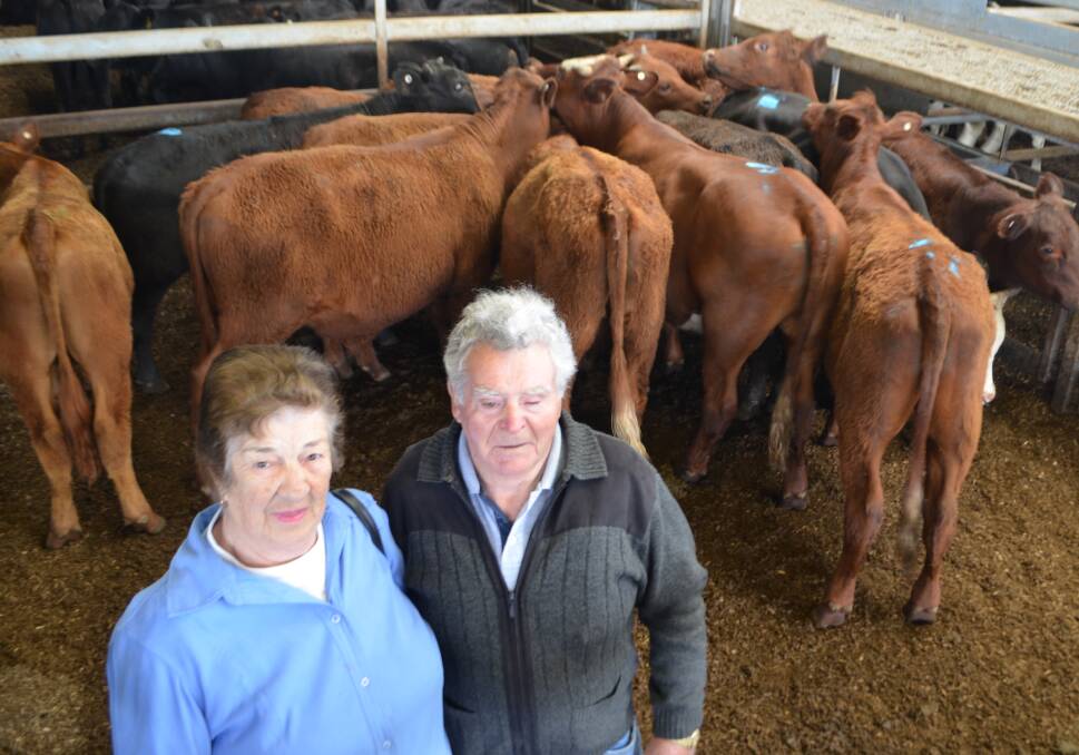Barbara and Guy Tesoriero, "Wingara", Kanimbla Valley, with their draft of eight Red Angus/Santa Gertrudis cross steers weighing 296kg sold for $1000.
