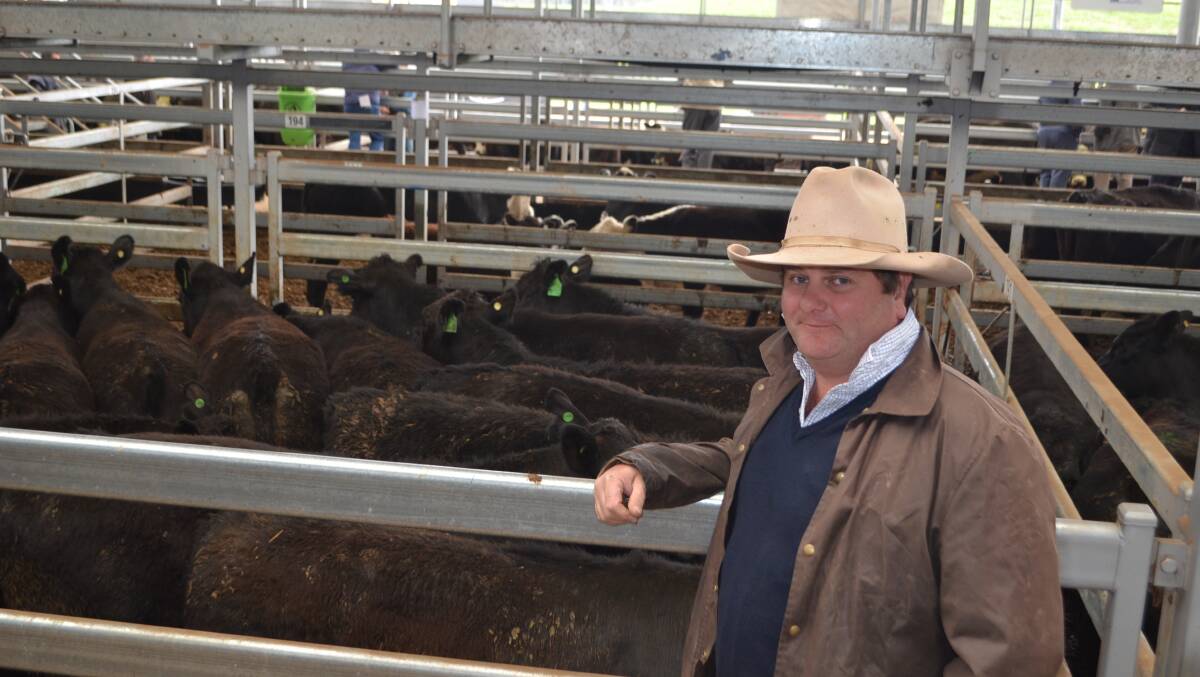 Richard Knox, "Forest Creek", Conargo, with his pen of 20 Angus steers, 12-13 months, Mureduke-blood, weighing 379kg and sold for $1500. "It was a great price, and the steers were in top condition after an excellent winter."