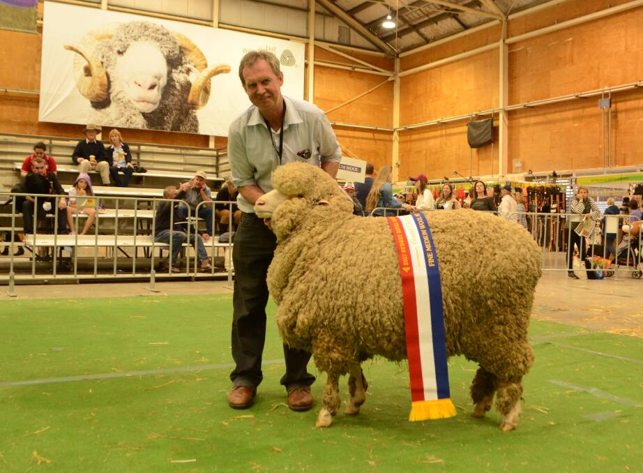 Andrew Davis, Demondrille Merinos, Harden, with his grand fine/medium wool ewe, also judged champion March shorn fine/medium wool ewe.