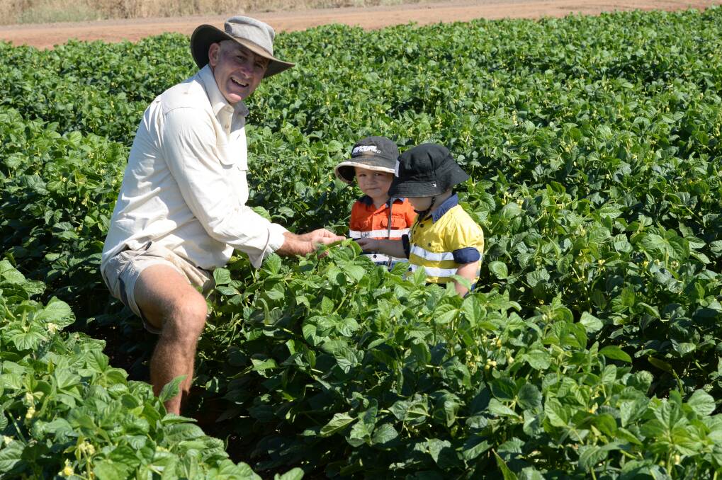 Rob Houghton, "Ravensbourne", Leeton with two of his grandsons, Lucas Greatz and Boston O'Garey checking Adzuki beans grown on an automated irrigation system that can be operated on his phone through a wifi connection. 