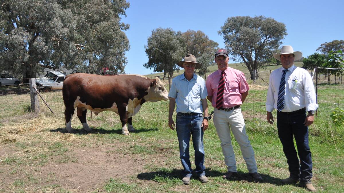Top price bull Glenellerslie Outstanding, with Glenellerlie principal Ross Smith; Elders stud stock agent Jim Bruce who purchased the sire on behalf of McPherson Herefords, Casino and GTSM representative Michael Glasser.