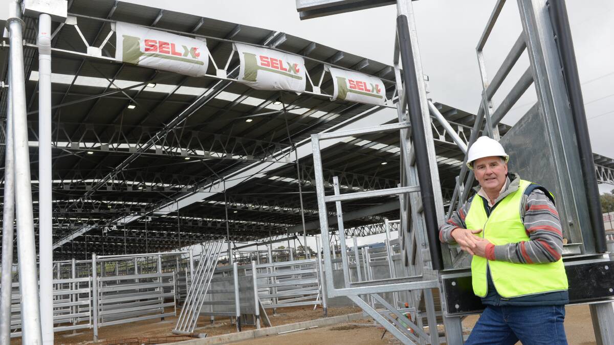 SELX manager Rod Bourlet, looking forward to the public open day for the livestock selling centre at Yass in the last stages of development.