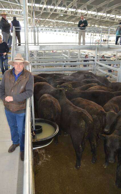 Matt Crozier, manager Cavan Station, Wee Jasper, with the pen of 29 Angus steers, weighing 379kg, sold for $1516.
