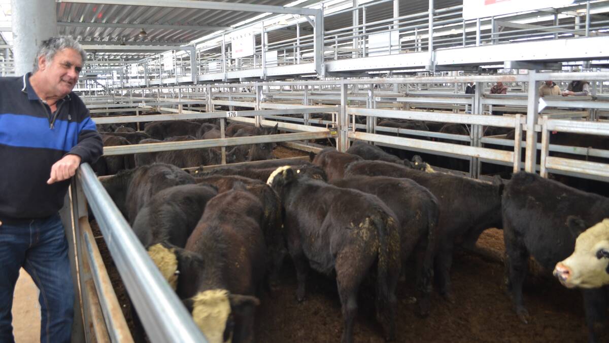 Michael Wood, Talgarno, Vic, with his pen of 12 black baldy steers, weighing 352kg which sold for $1155.