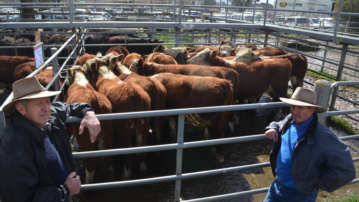 John Crain, "Bangadang", Adelong with Barry Peel, Yukon Park Herefords, Tarcutta and the pen of 19 Hereford steers, 10-12 months estimated at 320kg avg Mr Crain sold for $1090.
