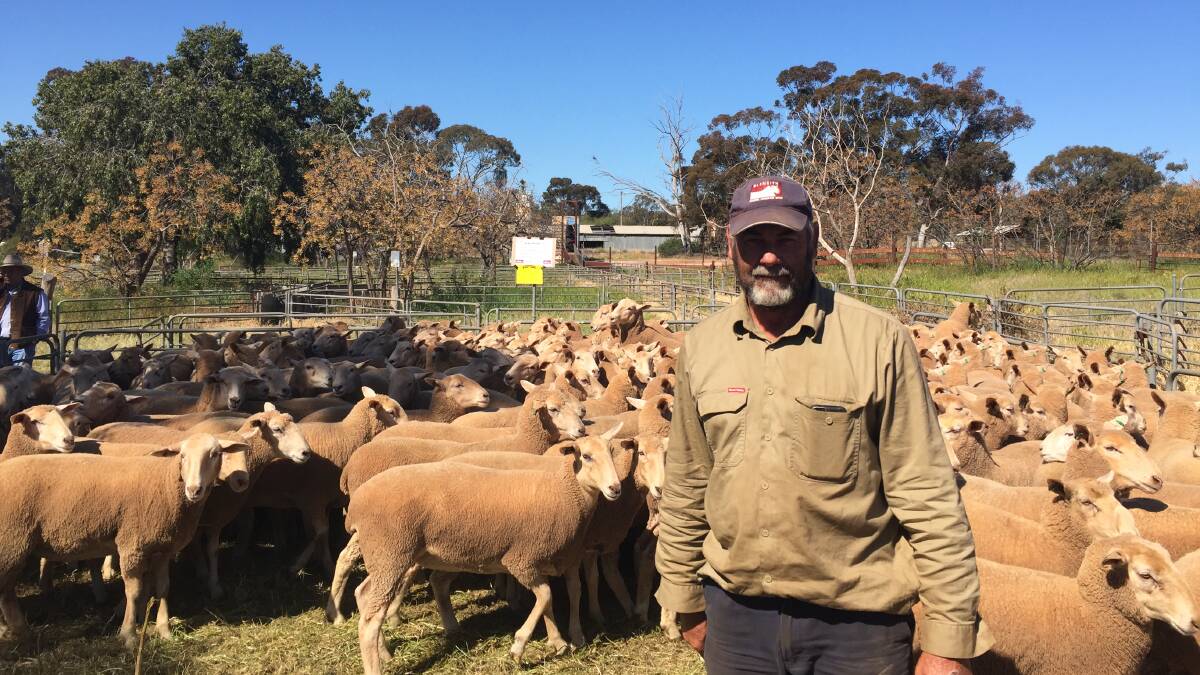 Wes Kember, Gleneith, Ganmain with his 210 June/July '19 drop ewes sold for $381.