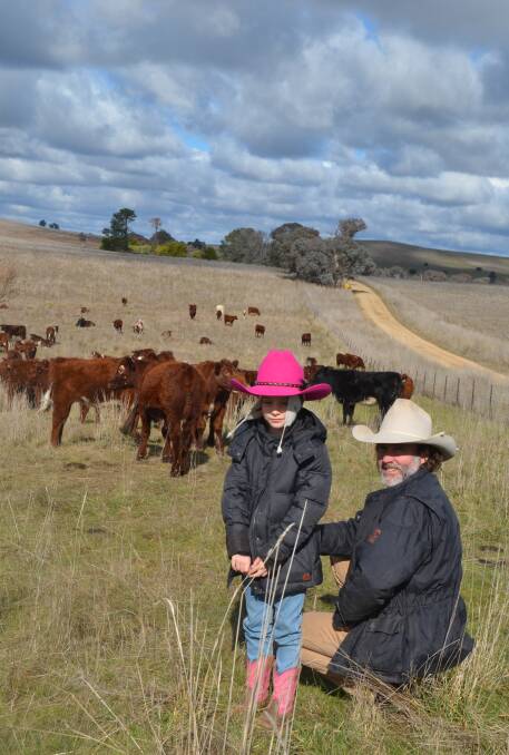 Charlie Arnott with daughter Lilla and some of the Wagyu/Shorthorn cross weaners.