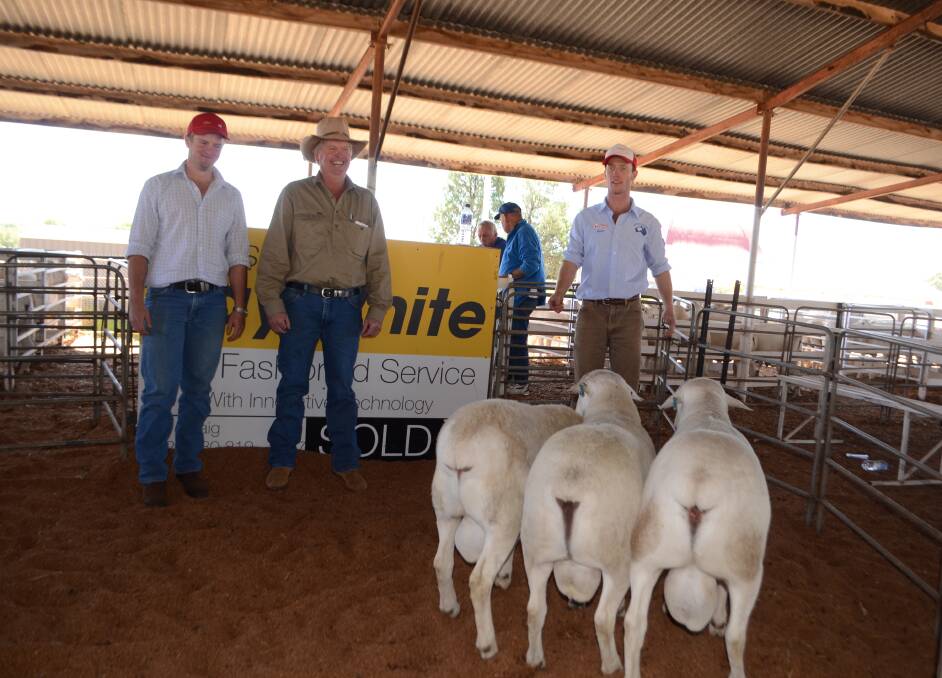 Repeat buyers Lachlan and Doug Manwaring, "Welton", Condobolin, and James Gilmore, Tattykeel Australian Whites, Oberon with the three rams the Manwaring family paid $3100 each for. The rams will be joined to Dohne and F2 ewes.