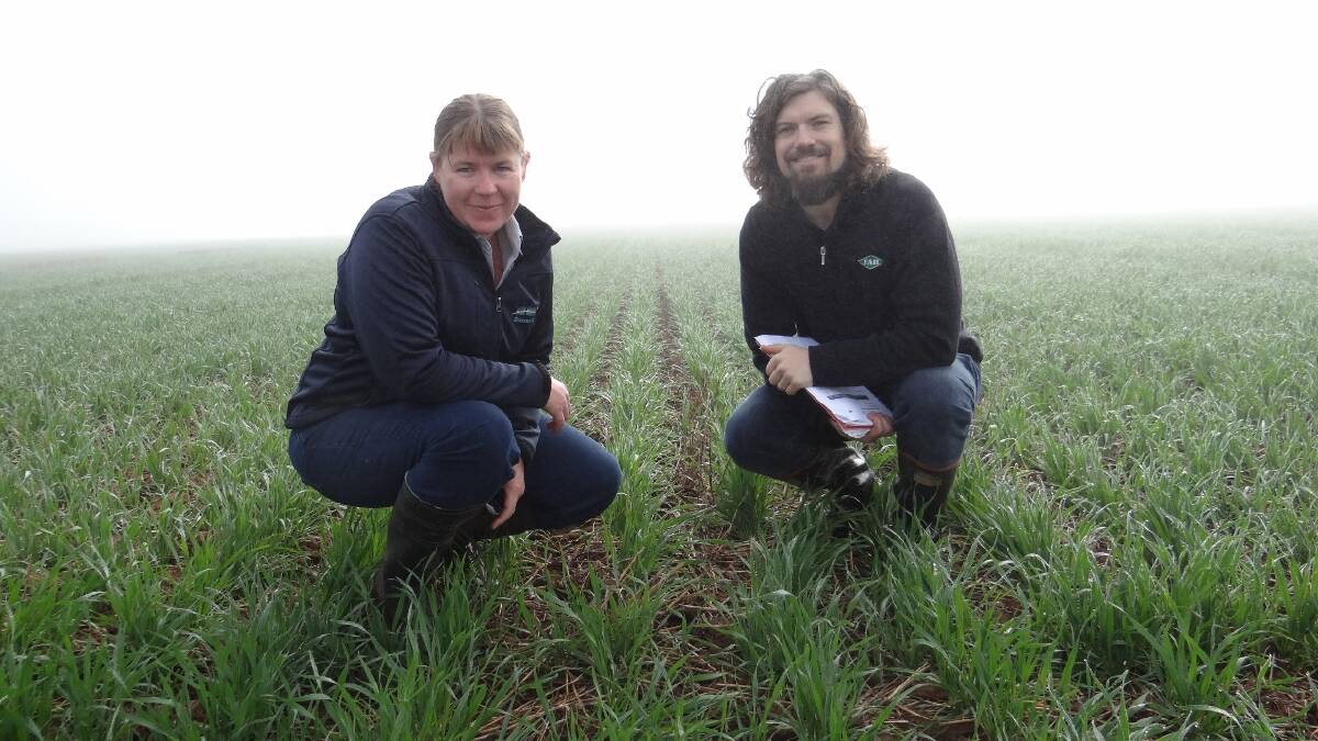 Checking the moisture: Dr Cassandra Schefe (Riverine Plains Inc) and Micheal Straight (FAR Australia) will be speaking at the upcoming Stubble Project paddock walks. Photo supplied.