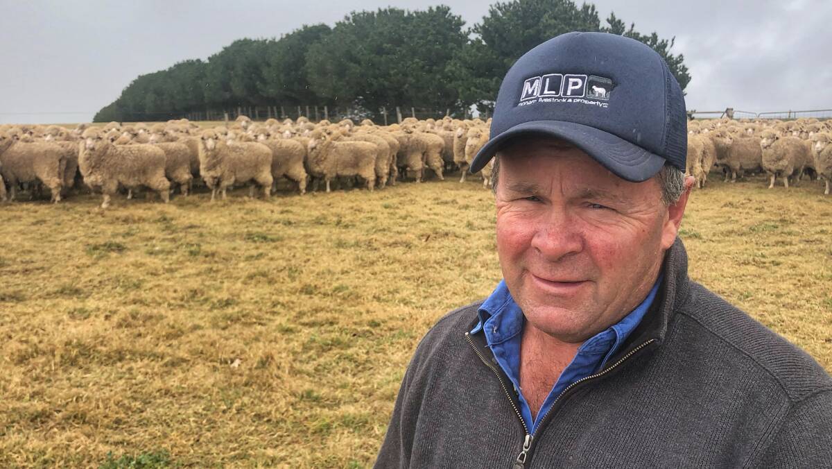 Competition committee president Ross Walters entered his Bindaree-blood May-shorn maiden ewes which had been awarded the Monaro Livestock and Property Trophy for Overall winner of the 90th Berridale Maiden Merino ewe competition. Photo: supplied