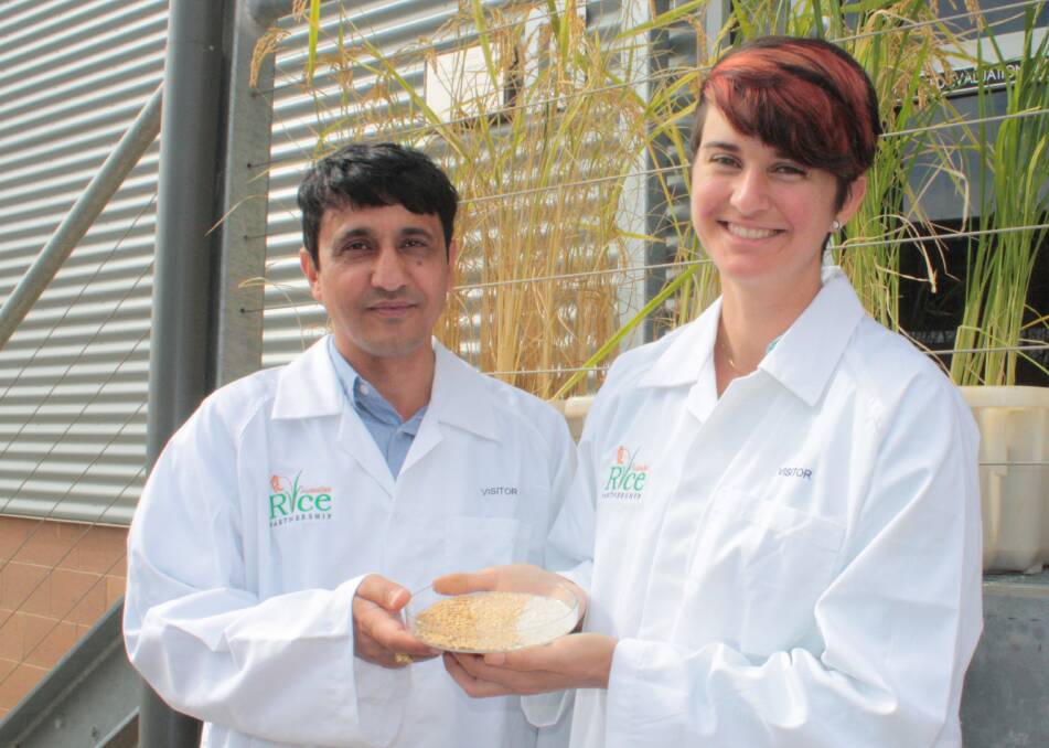 Rice secrets: Prakash Oli and Laura Pallas at Yanco Agricultural Institute, Yanco, unlocking the nutritional secrets in Australian grown rice. Photo: supplied DPI, Wagga Wagga