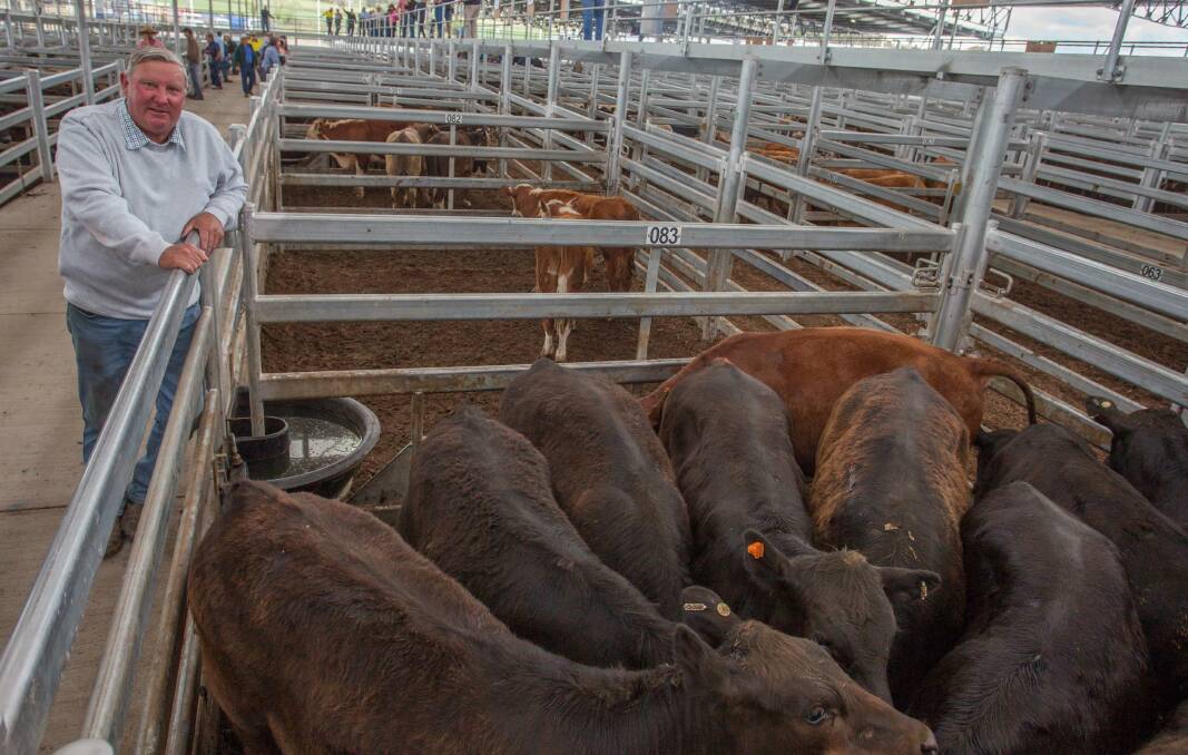 Great sale: Graham Privett ‘Glenleigh’, Yass sold 13 Angus cross steers (six-seven months old) for $1020. Photo: supplied