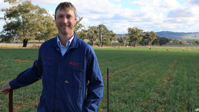 Lamb survival: CSU lecturer in whole farm management and Graham Centre researcher Dr Shawn McGrath says the research follows a 2016 study of ewe flocks in NSW, Victoria, South Australia and Western Australia. Photo: supplied.