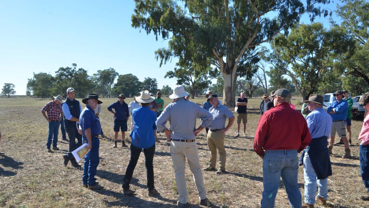 Over fifty landholders and industry specialists attended the field day at Berrembed Station to gain some insight into the establishment of pastures in the Riverina.