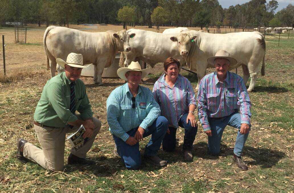 Mark Barton, Landmark studstock auctioneer, Glenn Trout, stud manager, Ann-Marie Collins, stud principal and Matthew Collins, with the top priced bulls.