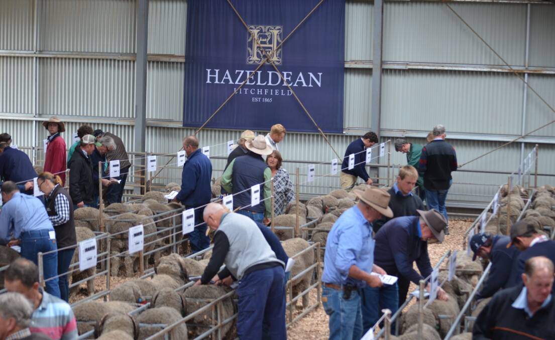 Wool growers carefully assessing the 104 Poll Merino and Merino rams catalogued for sale.