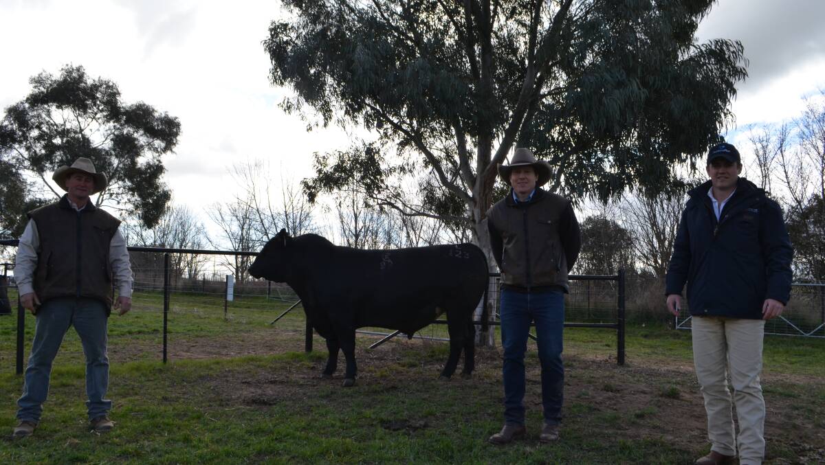 With Kenny's Creek Intensity L123 purchased for $26,000 - Adam Withers, manager Kenny's Creek Angus, Boorowa with stud principal Sam Burton-Taylor and Mick Corcoran, AuctionsPlus through whom the bull was bought by the Victorian Angus studs, Pathfinder and Chiltern Park.