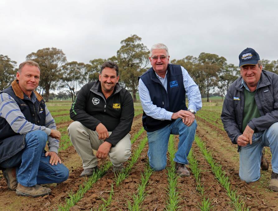 In the plots: HMFD director Daryl Thomson, Culcairn, Aaron Giason and Geoff Baker, Baker Seed Co, Rutherglen, and HMFD chairman Ross Edwards, Yerong Creek, inspect the new wheat trials. Photo: Kim Wood.

