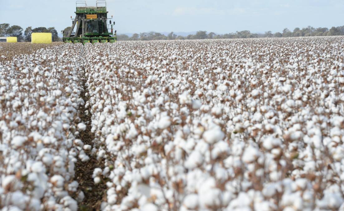 "Cotton Australia and many other farmer and irrigator representative groups are genuinely concerned about the lack of transparency exhibited by the Authority on this issue," Michael  Murray said.
