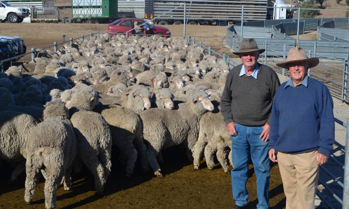 Top price: Jeff Fraser, "Thornleigh", Adaminaby, with his livestock agent, John Mooney, Cooma, in the pen of 247 Merino wethers, three and four years, October-shorn, sold for $135. Mr Fraser was very happy with the result. "The market was up a bit, it was a really good sale," he said.


