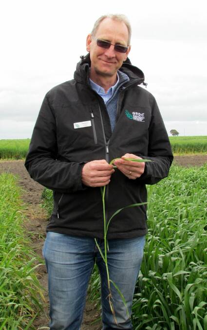 GRDC Manager Soils and Nutrition – South: Dr Stephen Loss, says the new project will develop recently discovered pasture legumes and innovative management techniques that benefit livestock and crop production. Photo: supplied



