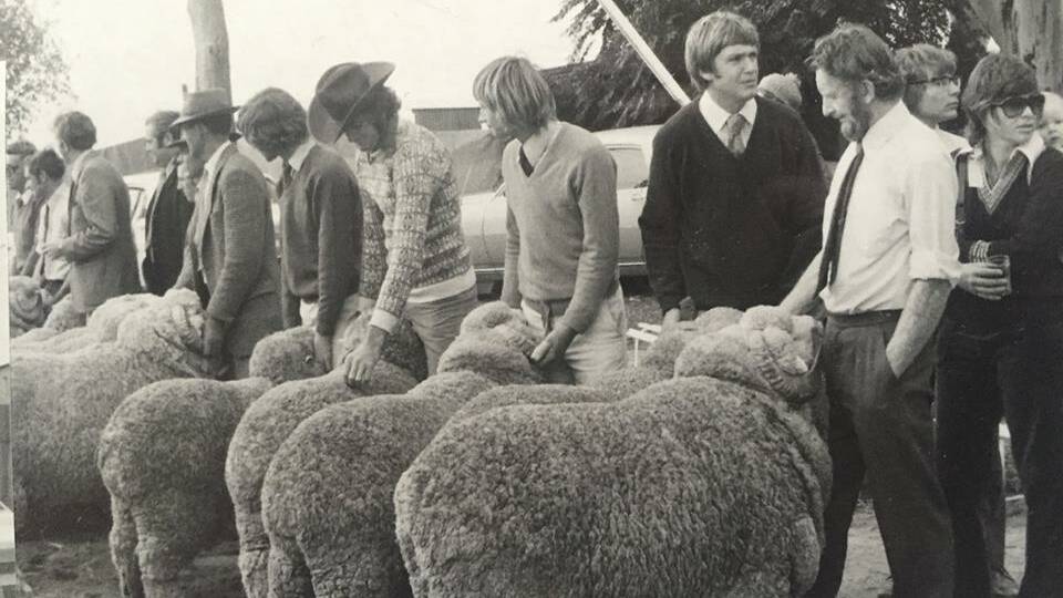 Remember the days when we lined up with proud Merino sheep for the judging of Supreme exhibits at Hay, Denilquin and Jerilderie Sheep Shows.
