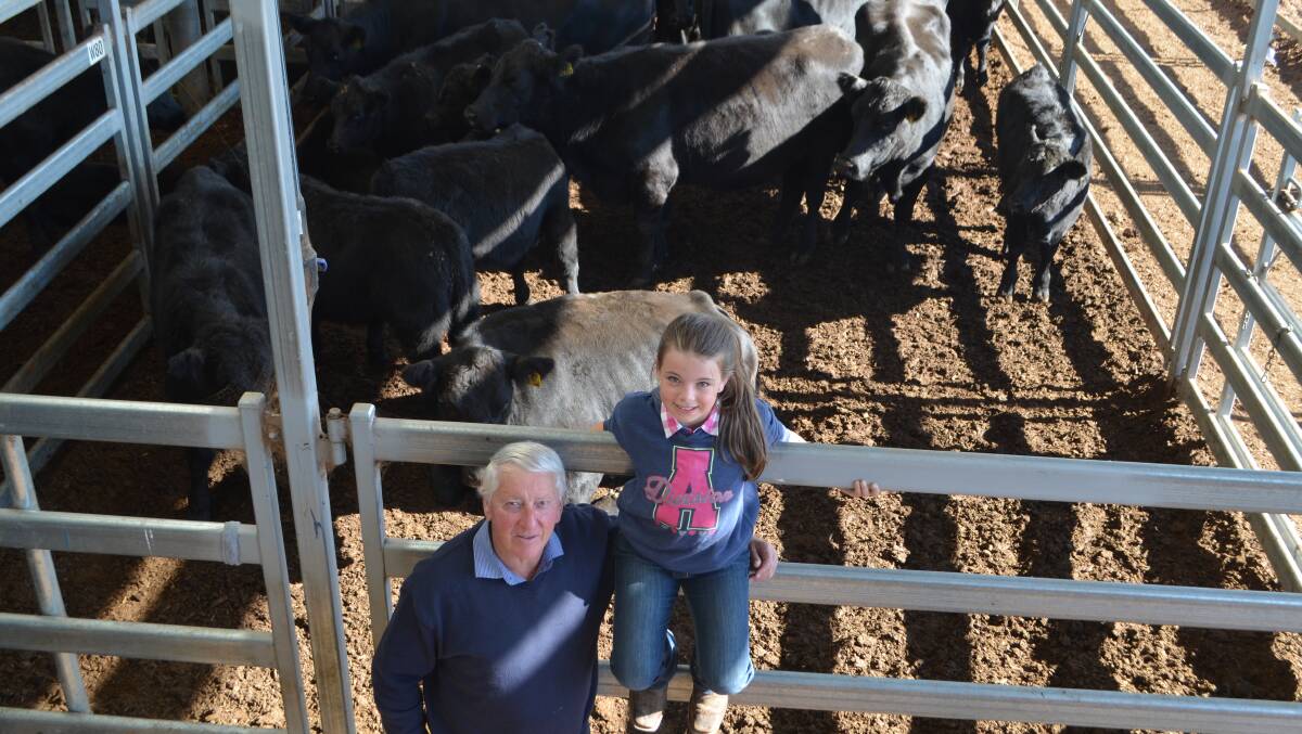 Rodney Wolter, "Hillview", Walwa, with his granddaughter Ava Wolter and the pen of 15 Angus cows with calves he bought for $2725.