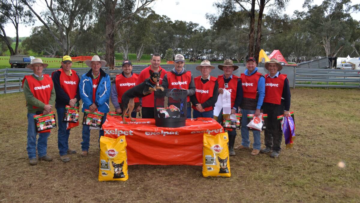 Exelpet Murray Valley Yard Dog Championships winner Dale Thompson, Winton, Vic and Tess, centre, with fellow place getters, To his right, Sponsor John Hewitt, marketing manager, Exelpet, Wodonga, and on his left judge Rex Hocking, Lucindale, SA.

