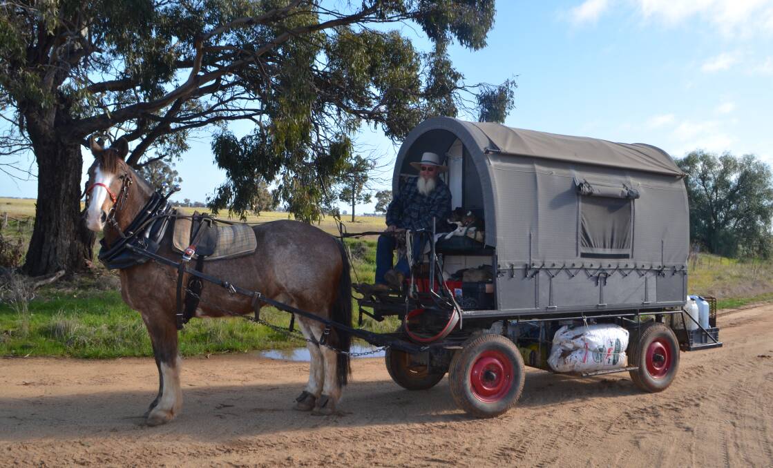 Bruce Neilson driving his caravan around the back roads of the Riverina with 'Captain' between the shafts and 'Jazz' keeping the seat warm beside him.