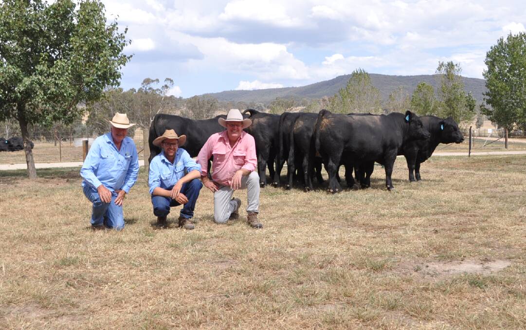 Andrew and Tom Hicks, with Elders, Holbrook, stock agent Phil Gledhill who facilitated the sale of bulls through Auctions Plus. 