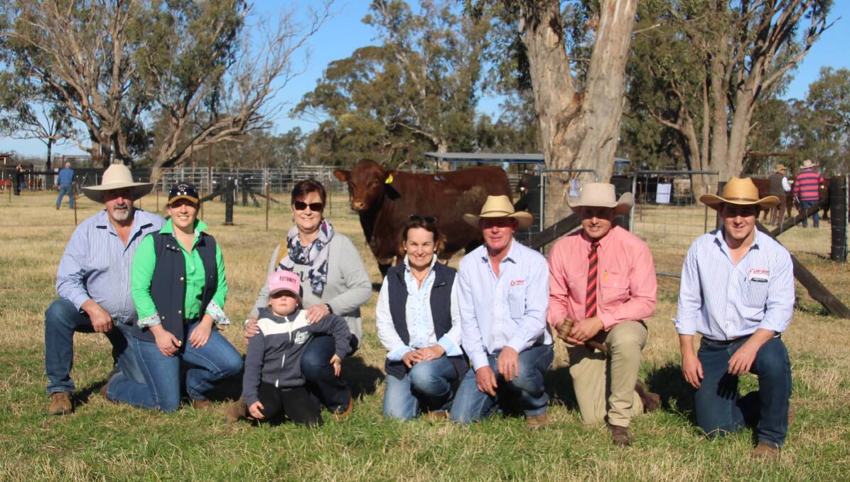 Ross Johnstone, Alex Thompson, Janelle Johnstone, Havannah Johnstone, Ronelle Shorthorns, Kylie and Jason Catts, Lincoln McKinlay, Elders auctioneer, Riley Catts with the $40,000 bull