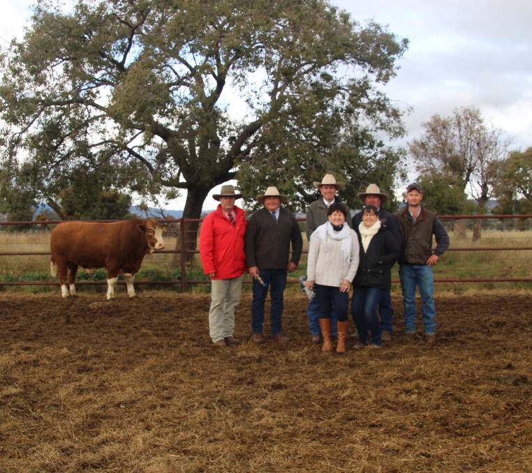 Elders agent Brian Kennedy, auctioneer Paul Dooley and Paul Banks of Davidson Cameron with the Cook family from Barana Simmentals and the $16,000 bull.