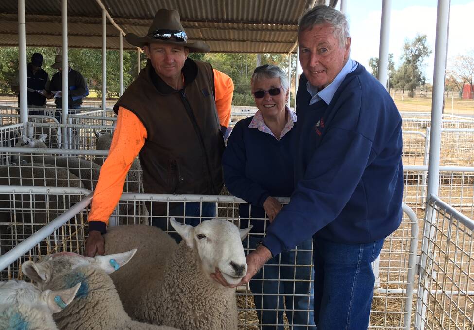 Andrew Cook, Cook Partnership, Nyngan with Ian and Kerry Cameron of Nundoone Border Leicester Stud with the $2200 top priced Nundoone ram.