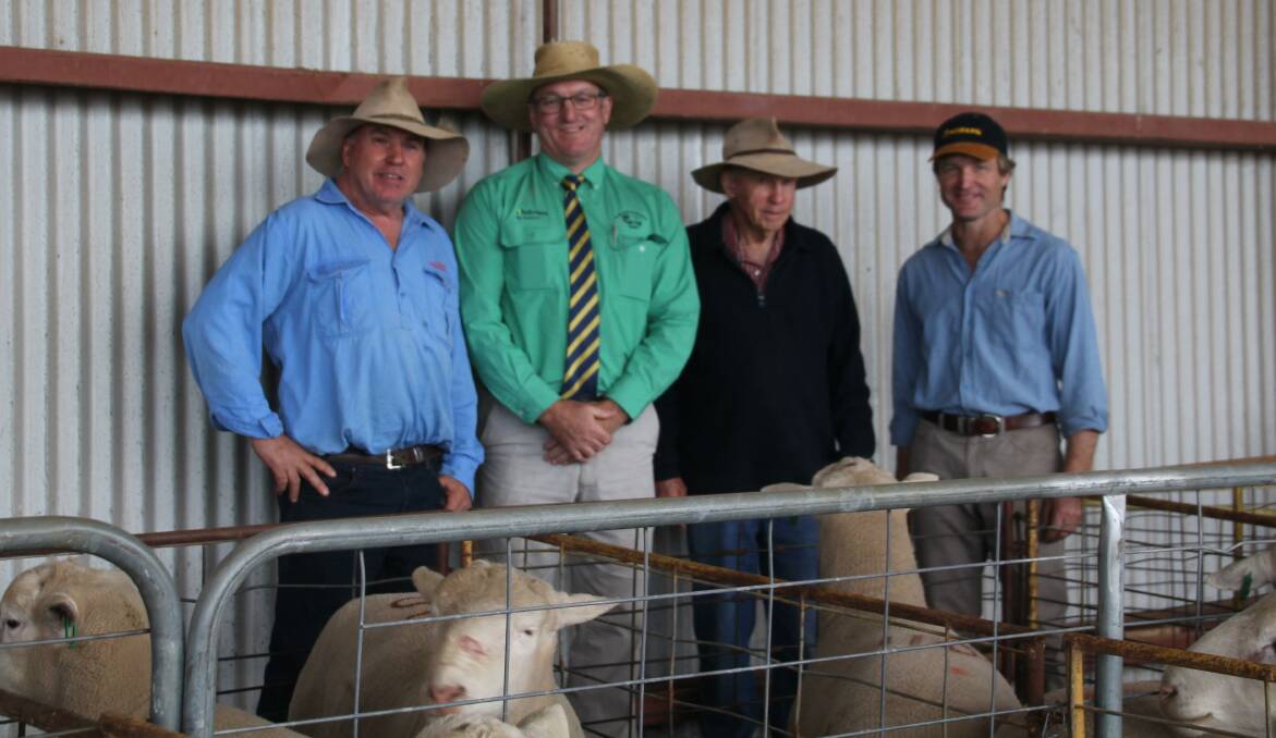 Volume buyers Angus and his father Campbell Gregory, with Peter Thomas, Nutrien Milling Thomas, Dubbo and Daryl Dixon, Ashbank.