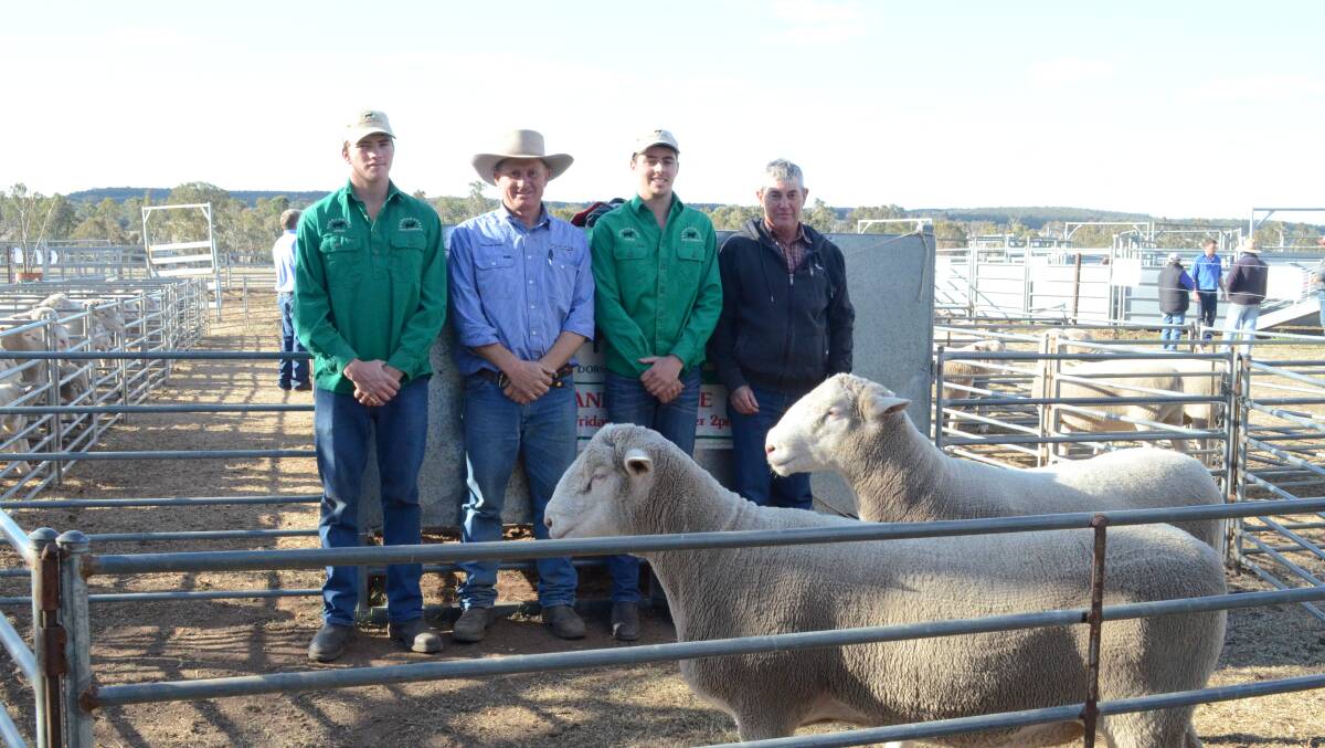 Toby and Duncan O'Leary Narranmore with Angus Stuart, Milling Stuart, Dunedoo and Robert Naef, “Wongaboori”, Mendooran with two of the top priced rams.