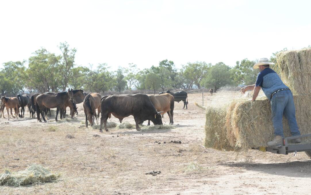 Farmers keep debt in check but drought burns up farm profits