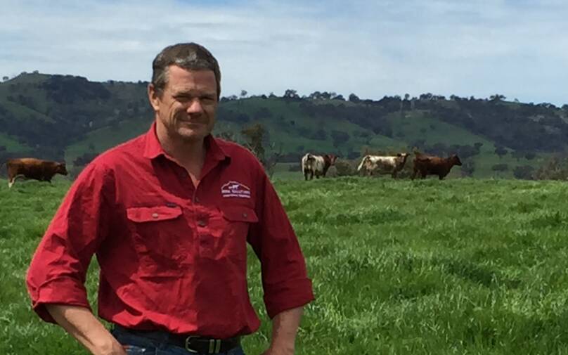 Rifa Salutary's chief executive officer, David Goodfellow at one of the company's northern NSW properties. 
