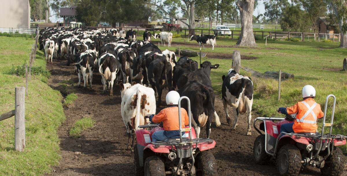 Dairy Connect says Deputy Prime Minister Barnaby Joyce should be pushing for dairy producers, processors and retailers to work together to reform the policies and mindset that underpin $1 a litre drinking milk.