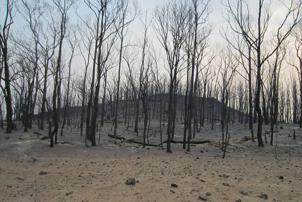 Rabobank adds support to farmers hit by bushfires​