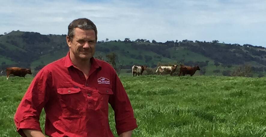 Rifa Salutary's managing director David Goodfellow, on the company's new "Middlebrook" aggregation at Nundle which this week became part of the company's 40,000 hectares of primarily beef breeding and backgrounding country in NSW and Victoria.
