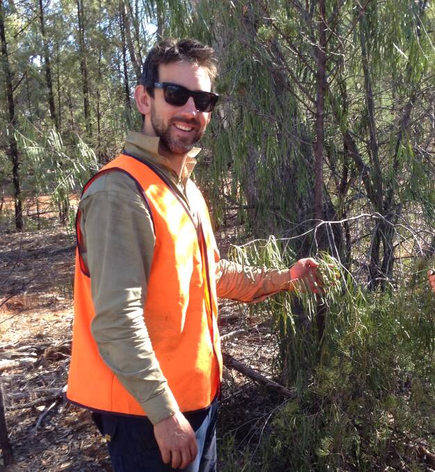 Climate Friendly's Australian projects manager, Josh Harris, in mulga woodland with reduced stocking numbers which he estimates will earn an average $1 million or more in carbon farming credits from Emissions Reduction Fund contracts during the next decade for landholders in pastoral regions.