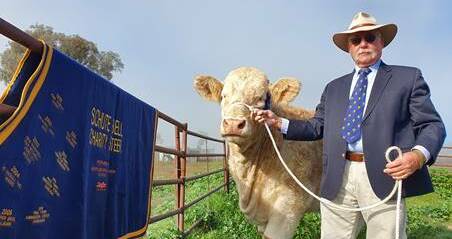 Long-time supporter Paul Ferry has purchased the 2020 Schute Bell Charity Steer for $20,000, making it the 12th consecutive year he has donated to the auction. Photo: supplied