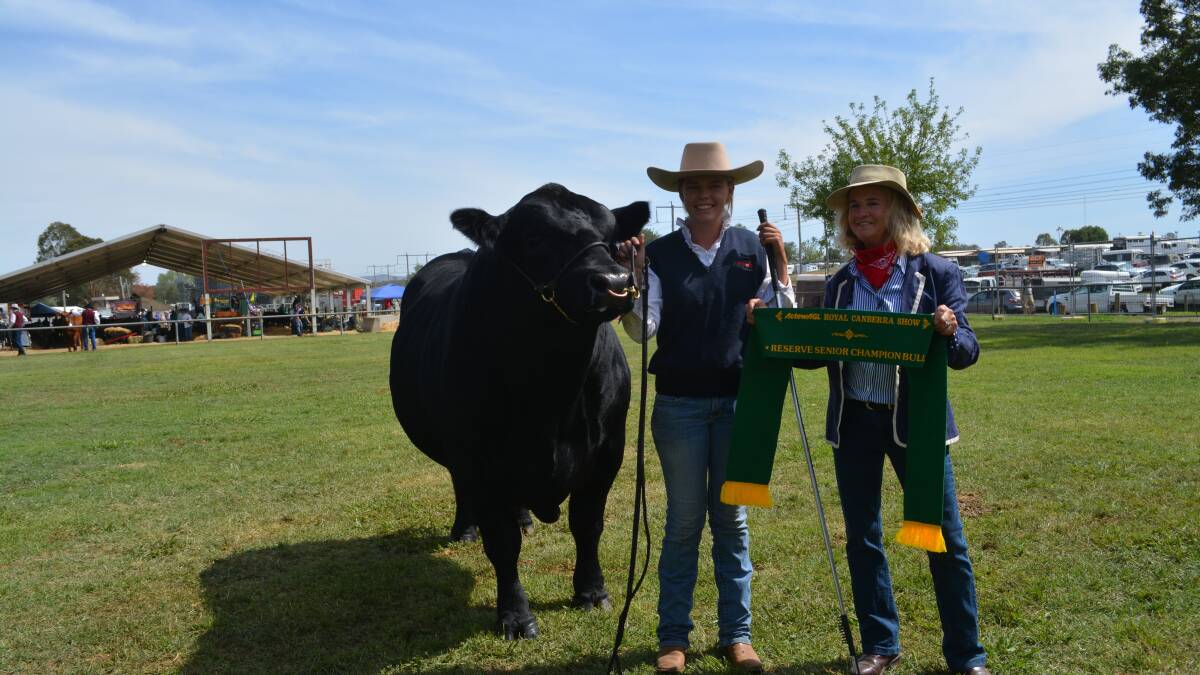 First time exhibitors on top of Angus show