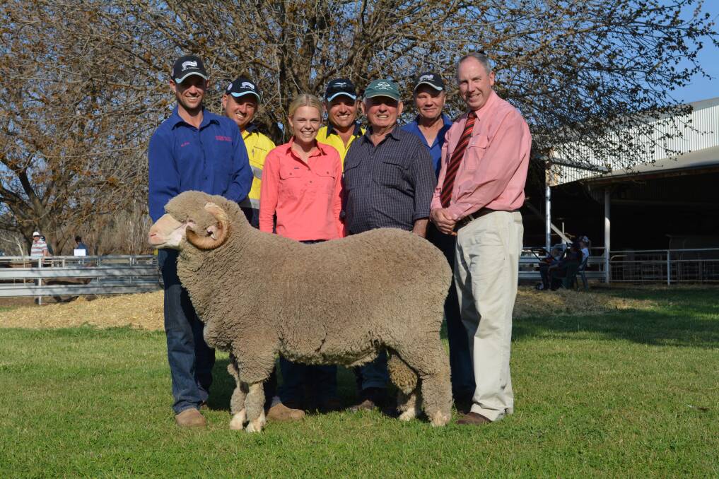 The $11,000 sale topper held by Westray manager Blake Tremain-Cannon, Peak Hill; with buyers Kim, Kate, Phil and Malcom Swain, Budda-View Partnership, Peak Hill; Westray co-principal Ray Cannon and Elders auctioneer Paul Jamieson, Dubbo. 