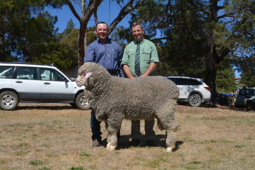 The $14,000 top price ram offered by Snow Vale Poll Merinos, held by stud principal Michael Hedger, Berridale, with Landmark auctioneer Rick Power. 