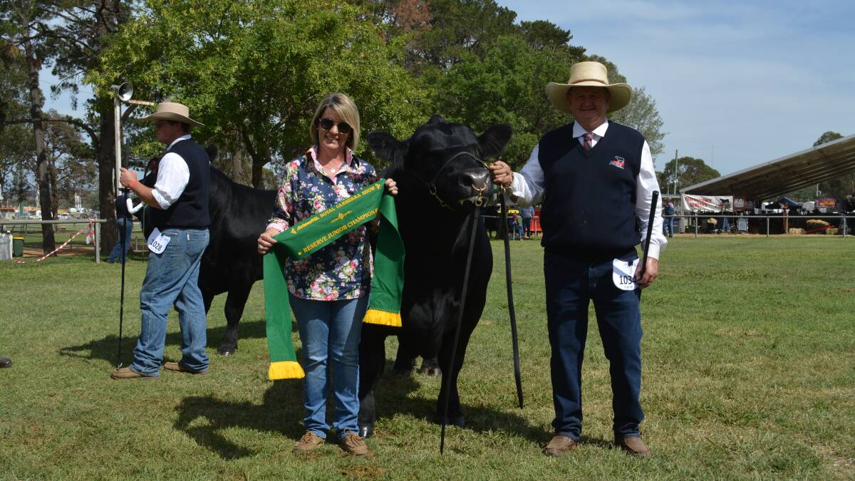 First time exhibitors on top of Angus show