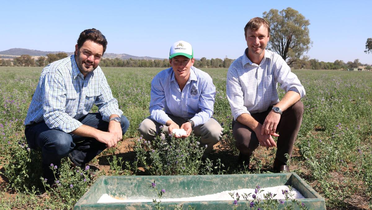 Charles Sturt University (CSU) lecturer in agronomy Dr Jeff McCormick, Bachelor of Agricultural Science (Honours) student Matt Champness and CSU lecturer in whole farm management Dr Shawn McGrath.