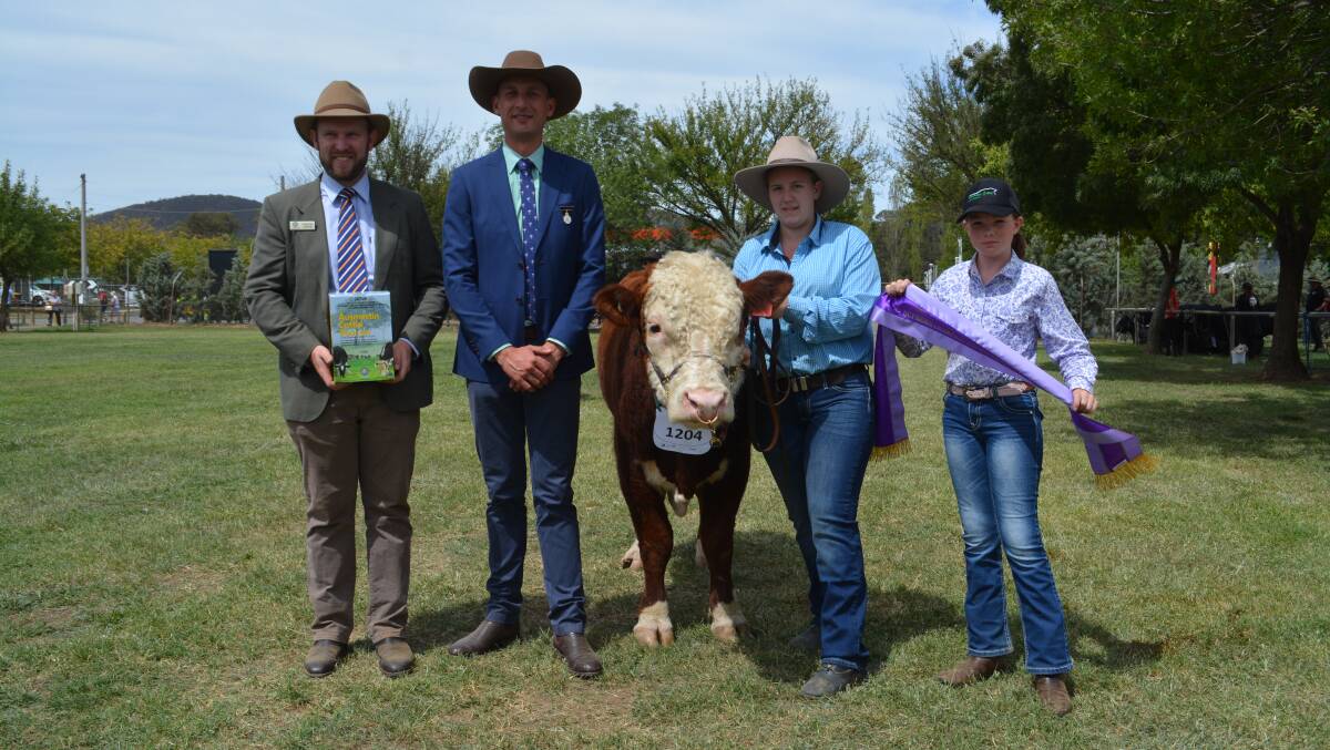 International Animal Health's Shannon Lawlor, judge Sam Hunter, Agstock, Yass, with Machayla Parish-Grant, Queanbeyan, leading the grand champion bull and supreme exhibit of the Miniature Hereford section, sashed by Rosie Sutherland, Beechworth, Vic.