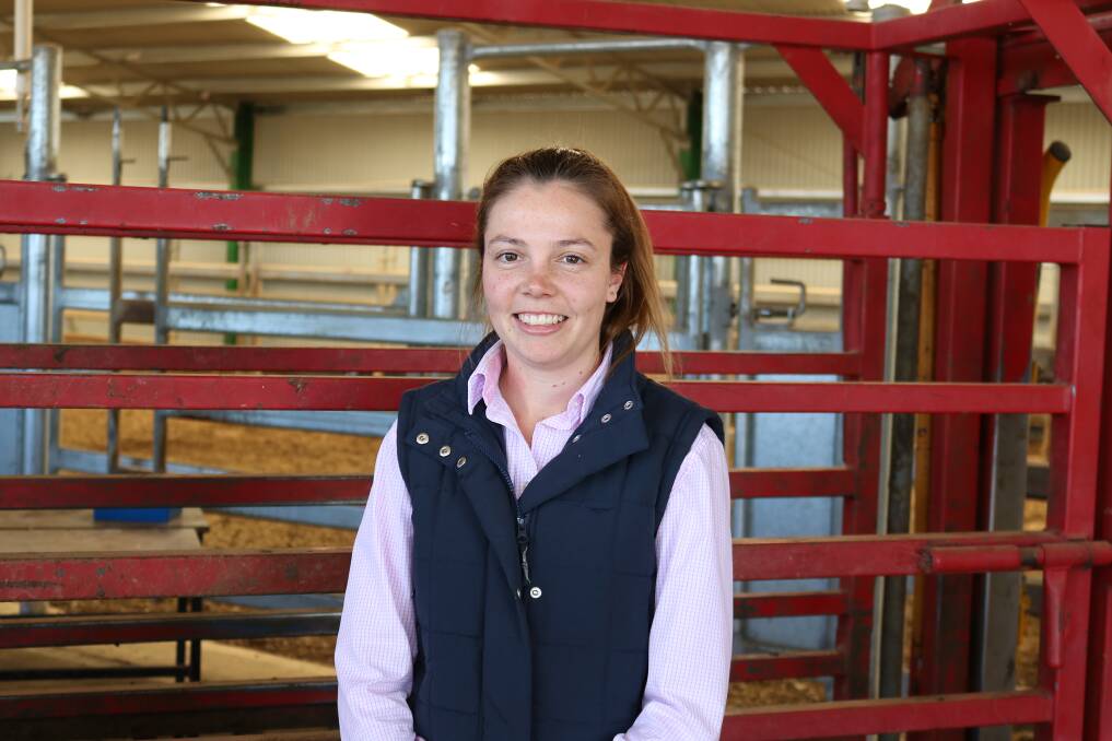 Bachelor of Veterinary Science student, Georgia Howell, hopes to visualise where the Australian beef industry is headed in terms of genetic assessment.