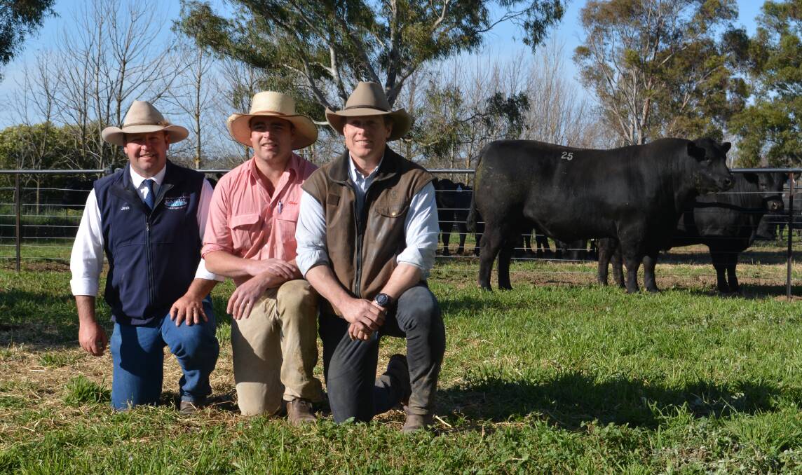 The $22,000 top-priced bull with Josh Crosby of Kevin Miller, Whitty, Lennon and Co stud stock, Elders agent Ben Seaman, Goulburn, who purchased the high-seller on behalf of LA Angus, and Sam Burton Taylor of Kenny's Creek Angus. Photo: Hannah Powe 